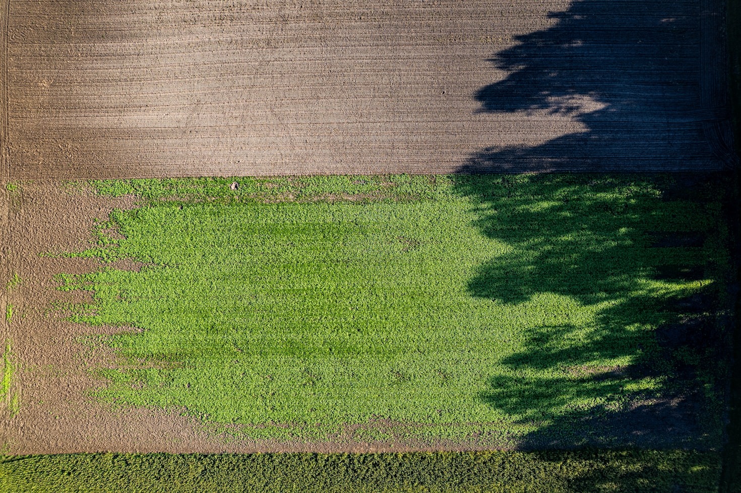 The Role of Land Stewardship in Regenerative Agriculture