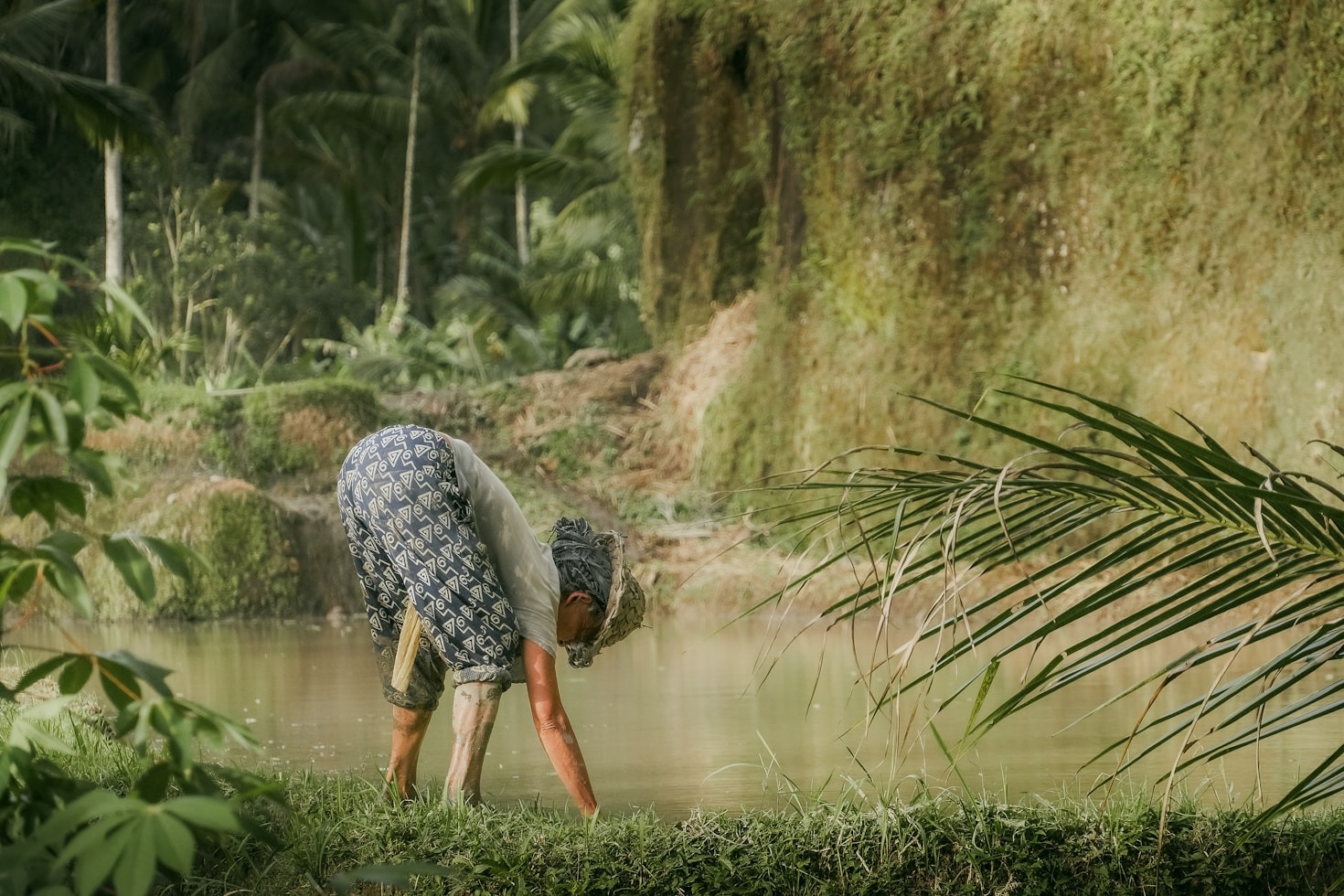 Empowering Farmers to Lead the Sustainability Charge