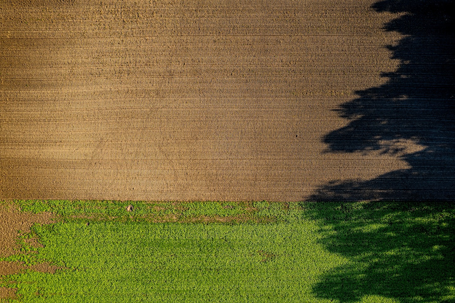 Building Agricultural Communities for a Resilient Tomorrow