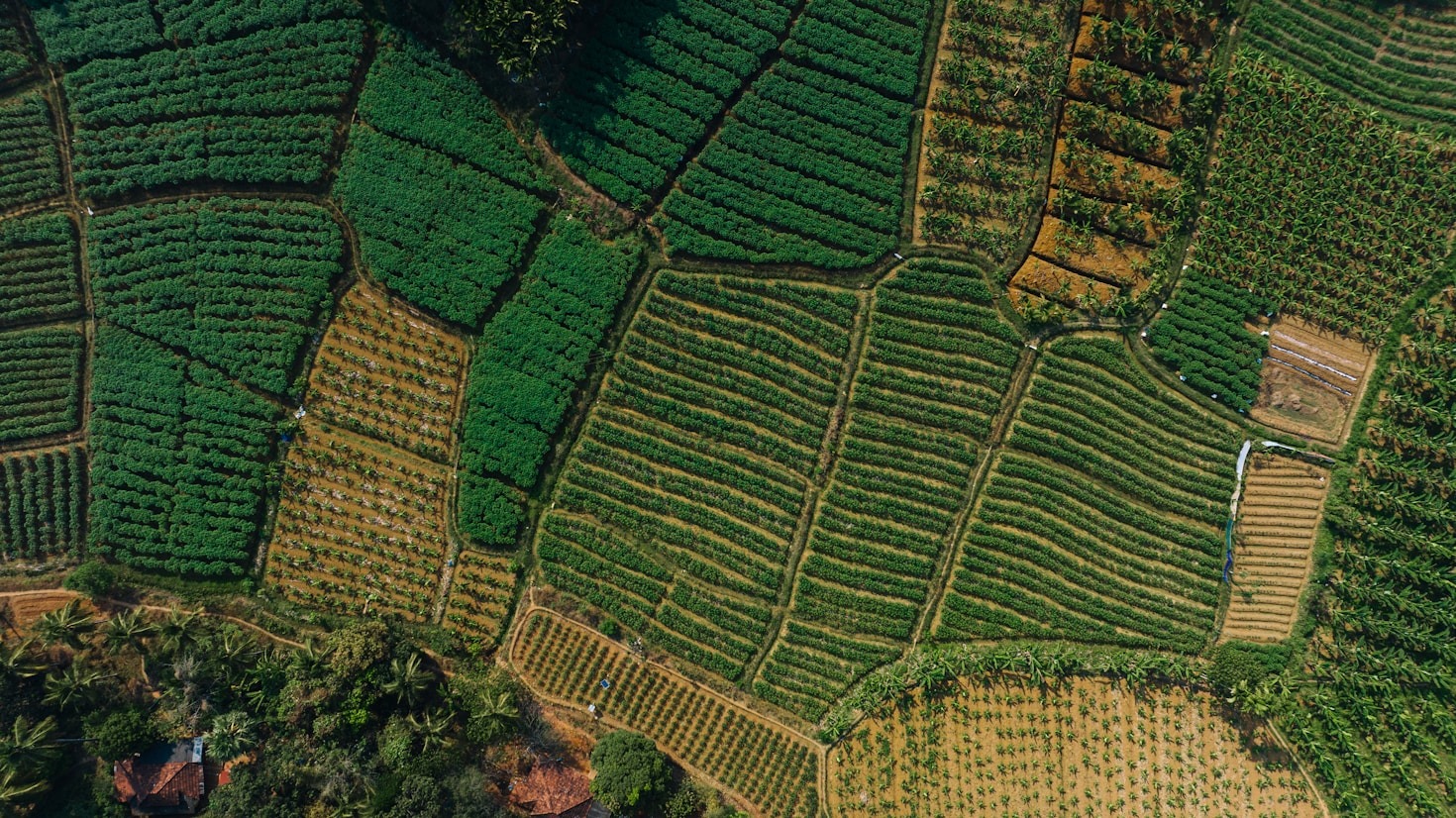 Advocacy for Agriculture: A Primary Land Use